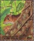 Colnect-2264-781-Common-Agouti-Dasyprocta-aguti-.jpg