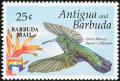 Colnect-2431-257-Green-Mango-Anthracothorax-viridis.jpg