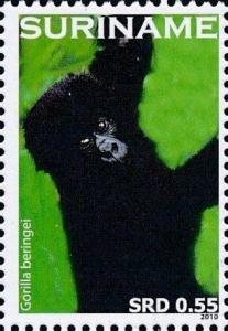 Colnect-4044-961-Gorilla-beringei.jpg