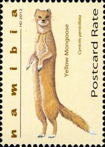 Colnect-3063-945-Yellow-Mongoose-Cynictis-penicillata.jpg