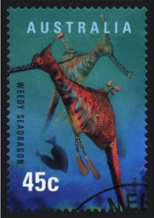 Colnect-1473-321-Weedy-Seadragon-Phyllopteryx-taeniolatus.jpg