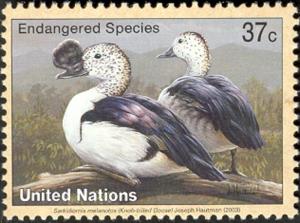 Colnect-2571-495-Knob-billed-Goose-Sarkidiornis-melanotos.jpg