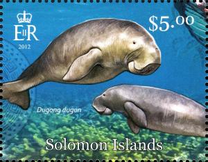 Colnect-2576-875-Dugong-Dugong-dugon.jpg