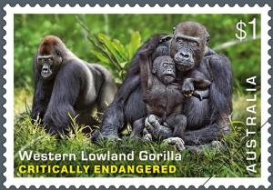 Colnect-3558-730-Western-Lowland-Gorilla-Gorilla-gorilla-gorilla.jpg