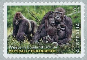 Colnect-3558-731-Western-Lowland-Gorilla-Gorilla-gorilla-gorilla.jpg