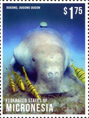 Colnect-4235-796-Dugong-Dugong-dugon.jpg