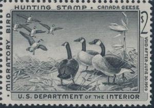 Colnect-4342-728-Canada-Goose-Branta-canadensis.jpg