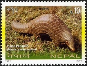 Colnect-550-649-Indian-Pangolin-Manis-crassicaudata.jpg