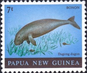 Colnect-5924-778-Dugong-Dugong-dugon.jpg