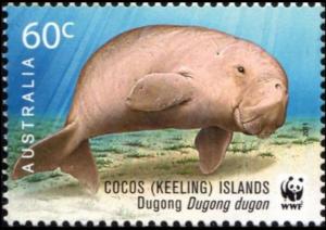 Colnect-6273-487-Dugong-Dugong-dugon.jpg