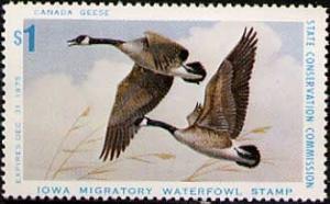 Colnect-6297-132-Canada-Goose-Branta-canadensis.jpg