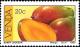 Colnect-1519-702-Mango-Mangifera-indica.jpg