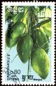 Colnect-1854-622-Mango-Mangifera-indica.jpg