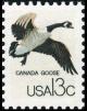 Colnect-4845-796-Canada-Goose-Branta-canadensis.jpg