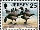 Colnect-6229-827-Brant-Goose-Branta-bernicla.jpg