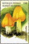 Colnect-3045-411-Hygrocybe-nigrescens.jpg