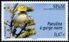 Colnect-878-878-Black-throated-Green-Warbler-Dendroica-virens.jpg