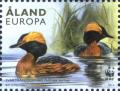 Colnect-1541-551-Horned-Grebe-Podiceps-auritus.jpg