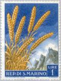 Colnect-169-763-Ears-of-Grain-Triticum-aestivum.jpg