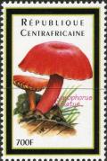 Colnect-3012-785-Hygrophorus-miniatus.jpg