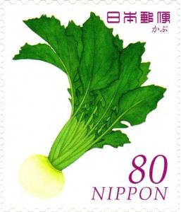 Colnect-3048-962-Turnip-Greens-Brassica-rapa-L.jpg