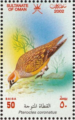 Colnect-1464-146-Crowned-Sandgrouse-Pterocles-coronatus%C2%A0.jpg