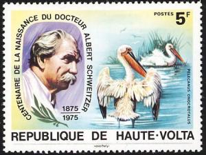 Colnect-1748-736-Albert-Schweitzer-and-Great-White-Pelican-Pelecanus-onocrot.jpg