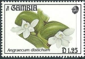 Colnect-2823-899-Angraecum-distichum.jpg