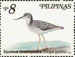 Colnect-2859-110-Nordmann--s-Greenshank-Tringa-guttifera.jpg