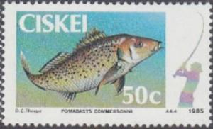 Colnect-2980-364-Smallspotted-Grunter-Pomadasys-commersonni.jpg