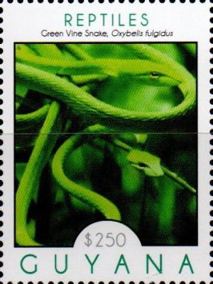 Colnect-4946-008-Green-Vine-Snake.jpg