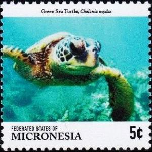 Colnect-5812-691-Green-sea-turtle.jpg