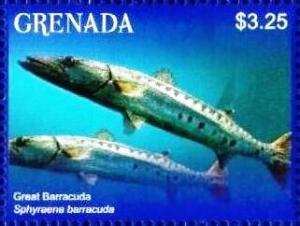 Colnect-6029-697-Great-barracudas.jpg