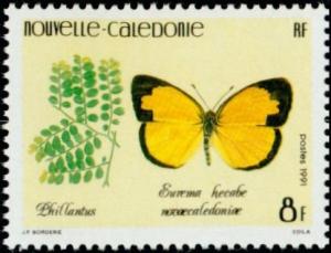 Colnect-854-606-Phillantus-sp-Common-Grass-Yellow-Eurema-hecabe-ssp-nova.jpg