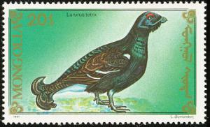 Colnect-860-476-Black-Grouse-Tetrao-tetrix.jpg