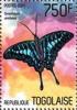 Colnect-4923-605-Graphium-antheus.jpg