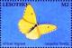 Colnect-5964-987-African-Migrant-Catopsilia-florella.jpg