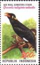 Colnect-940-867-Nyas-Myna-Gracula-religiosa-robusta.jpg