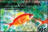 Colnect-4331-196-Longspine-squirrelfish.jpg