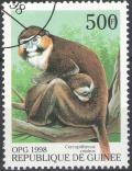 Colnect-2361-061-Moustached-Guenon-Cercopithecus-cephus.jpg