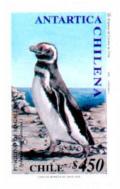 Colnect-578-479-Magellanic-Penguin-Spheniscus-magellanicus.jpg