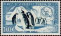 Colnect-888-021-Emperor-Penguin-Aptenodytes-forsteri.jpg