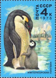 Colnect-2809-246-Emperor-Penguin-Aptenodytes-forsteri-.jpg