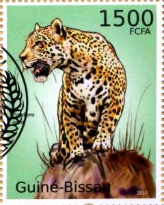 Colnect-3739-594-Jaguar-Panthera-onca.jpg