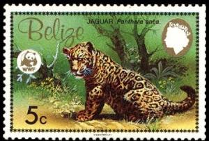 Colnect-1631-066-Jaguar-Panthera-onca.jpg