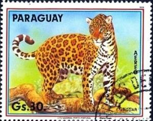 Colnect-3552-571-Jaguar-Panthera-onca.jpg