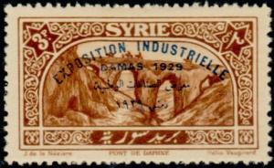 Colnect-883-807-Exhibition-s-bilingual-overprint-on-Definitive-1925.jpg