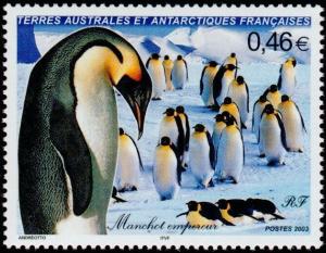 Colnect-888-700-Emperor-Penguin-Aptenodytes-forsteri.jpg