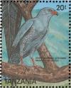 Colnect-1745-636-Dark-Chanting-Goshawk-Melierax-metabates.jpg