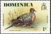 Colnect-1747-245-Mourning-Dove-Zenaida-macroura.jpg